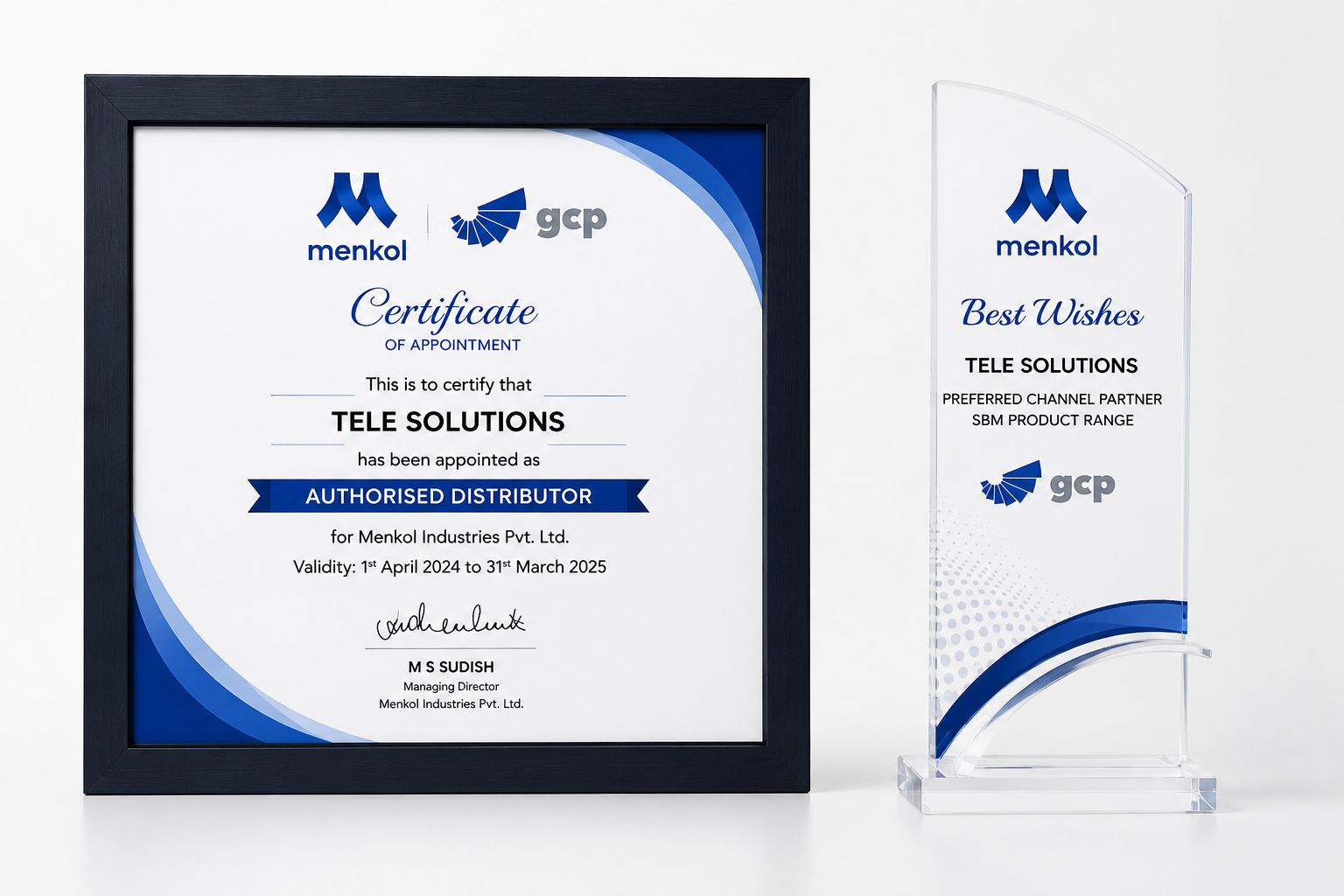 Award recognising Tele Solution's channel partnership